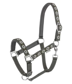 Online Licol Ikat Licols Synthétiques