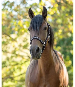 New Licol Ikat Licols Synthétiques