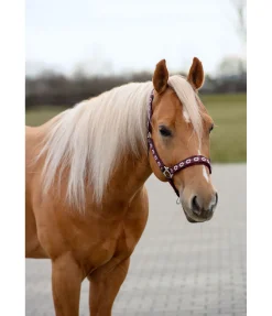 Online Licol Ikat Licols Synthétiques