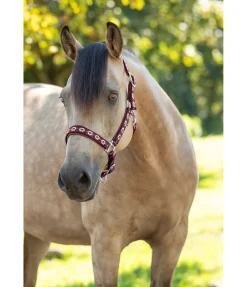 Online Licol Ikat Licols Synthétiques