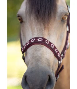 Online Licol Ikat Licols Synthétiques