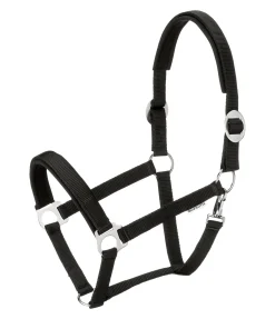 Outlet Licol Interchangeable Licols Synthétiques|Fourrure D'Agneau