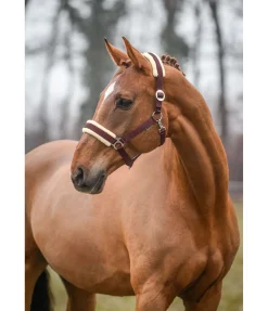 New Licol Interchangeable Licols Synthétiques|Fourrure D'Agneau