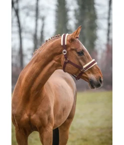 New Licol Interchangeable Licols Synthétiques|Fourrure D'Agneau