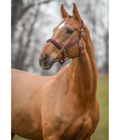 New Licol Interchangeable Licols Synthétiques|Fourrure D'Agneau