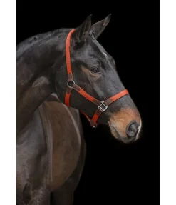 Hot Licol Kate Licols Pour Poneys & Poulains|Licols En Cuir