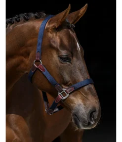 Online Licol Kate Licols Pour Poneys & Poulains|Licols En Cuir