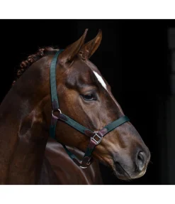 New Licol Kate Licols Pour Poneys & Poulains|Licols En Cuir