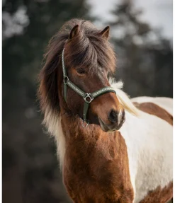 New Licol Kóngur Licols Synthétiques