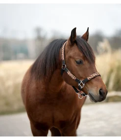 Outlet Licol Leo Licols Synthétiques