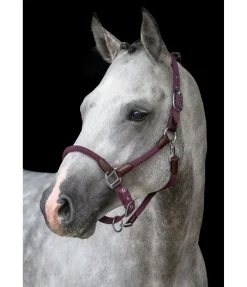 New Licol Meghan Licols Pour Poneys & Poulains|Licols En Cuir