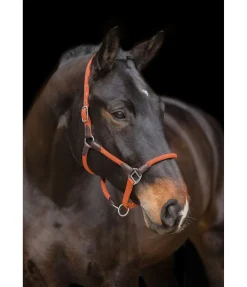 Sale Licol Meghan Licols Pour Poneys & Poulains|Licols En Cuir