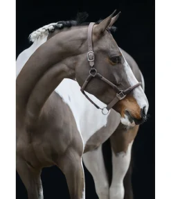 Clearance Licol Meghan Licols Pour Poneys & Poulains|Licols En Cuir