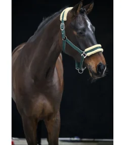 Hot Licol Night Sky Licols Synthétiques