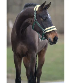 Hot Licol Night Sky Licols Synthétiques