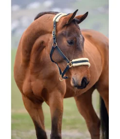 Sale Licol Night Sky Licols Synthétiques