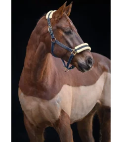 Sale Licol Night Sky Licols Synthétiques