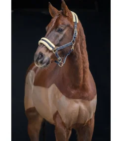 Sale Licol Night Sky Licols Synthétiques