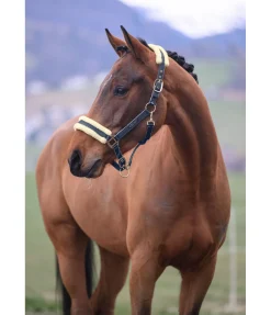 Sale Licol Night Sky Licols Synthétiques