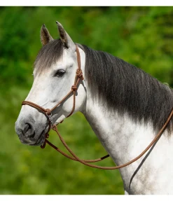 Best Licol à noeuds Licols À Noeuds