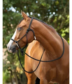 Sale Licol à noeuds Licols À Noeuds