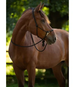 Sale Licol à noeuds Licols À Noeuds