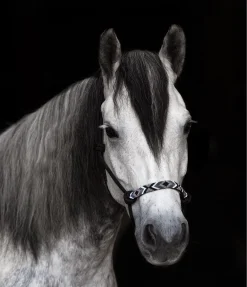 Hot Licol à noeuds Beaded Licols À Noeuds