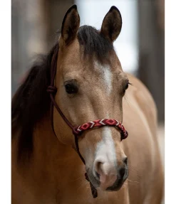 Hot Licol à noeuds Beaded Licols À Noeuds