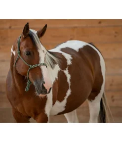 Hot Licol à noeuds Beaded Licols À Noeuds