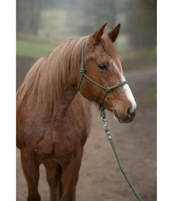 Discount Licol à noeuds Haylie Licols À Noeuds