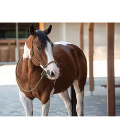 Outlet Licol à noeuds Lino Licols À Noeuds