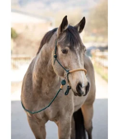 Outlet Licol à noeuds Lino Licols À Noeuds