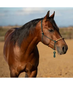 Outlet Licol à noeuds Lino Licols À Noeuds