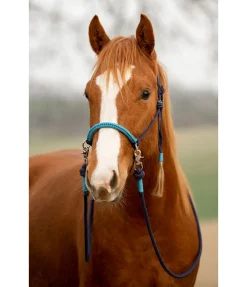 Hot Licol à noeuds Lino Licols À Noeuds