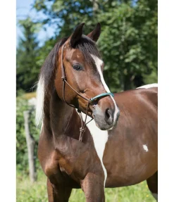 New Licol à noeuds Nic Licols À Noeuds