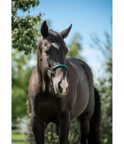 New Licol à noeuds Nic Licols À Noeuds