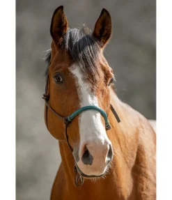 New Licol à noeuds Nic Licols À Noeuds