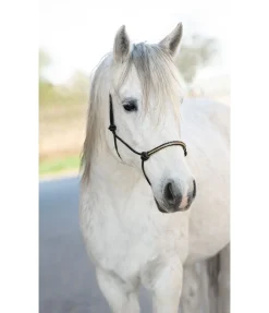 Hot Licol à noeuds Nic Licols À Noeuds