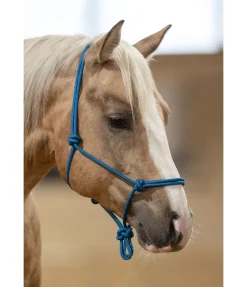 Online Licol à noeuds Quality Licols À Noeuds