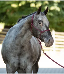 Outlet Licol à noeuds Quality Licols À Noeuds