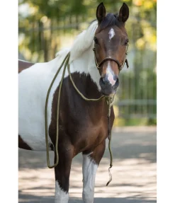 Hot Licol à noeuds avec rênes Mecate Merano Licols À Noeuds