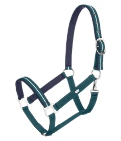 Best Licol Primary Licols Synthétiques