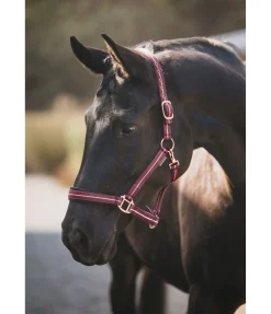 New Licol Shimmering Licols Pour Poneys & Poulains|Licols Synthétiques