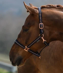 Hot Licol Shimmering Licols Pour Poneys & Poulains|Licols Synthétiques