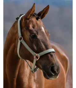 Outlet Licol Shimmering Licols Pour Poneys & Poulains|Licols Synthétiques