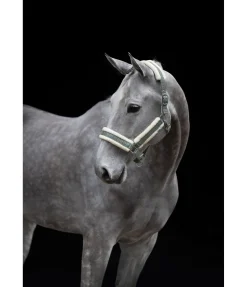 Best Licol Shine Licols Pour Poneys & Poulains|Licols Synthétiques