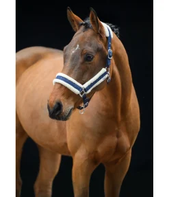 Licol Shine Licols Pour Poneys & Poulains|Licols Synthétiques