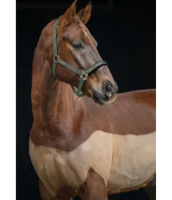 New Licol Signature II Licols Synthétiques