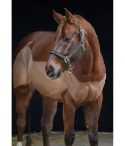 New Licol Signature II Licols Synthétiques