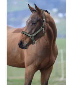 New Licol Signature II Licols Synthétiques